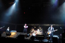 シド（写真は右クリック禁止です）