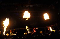 ムック（写真は右クリック禁止です）