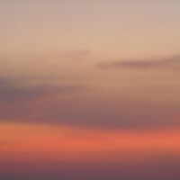 写真はニューシングル「Pansy」のジャケット。