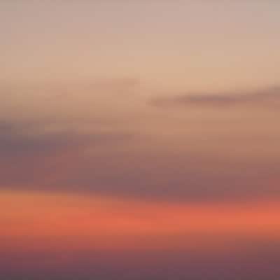 写真はニューシングル「Pansy」のジャケット。