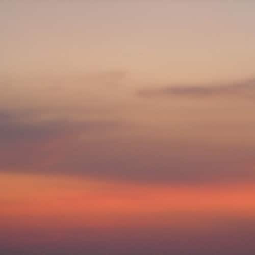 写真はニューシングル「Pansy」のジャケット。