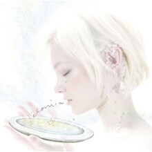 Aqua Timez「Velonica」ジャケット。