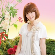 7thシングル「だってあなたはあなただから あか盤」初回限定盤ジャケット