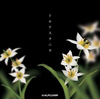 ジャケット写真に写る花がトルケスタニカ。白色で花芯が黄色いのが特徴。