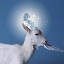 のあのわデビュー作「ゆめの在りか」は、やぎのジャケットが目印。