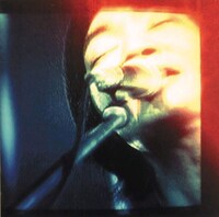 佐藤伸治のラストライブを収録した「98.12.28 男達の別れ」。