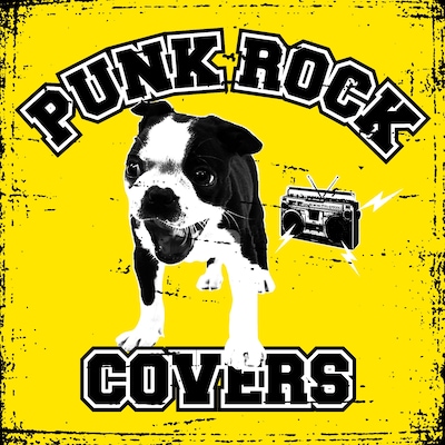 洋楽の名曲をキャッチーなパンクサウンドで再現。理屈抜きに楽しめる「PUNK ROCK COVERS -PUNK ROCK SHOW THE BEST-」は、パーティなドライブのお供にぴったり。