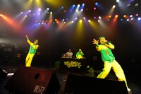 ライムサワー（(C)Toshikazu Oguruma）