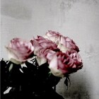 Lampの榊原が参加する郷愁ポップユニットMinuano