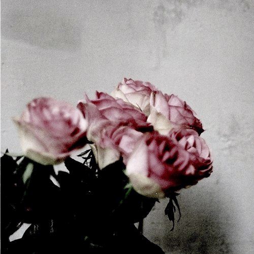 本作では尾方が作曲＆アレンジ、パーカッション、キーボード、コーラス、ドラム、ベースを担当。榊原もLampでのボーカルとはひと味違う表情を見せている。