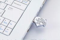 パソコンに挿せば、どこでもayuの最新作を楽しめる。