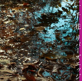 二千花、ドラマ主題歌の産みの苦しみを語る