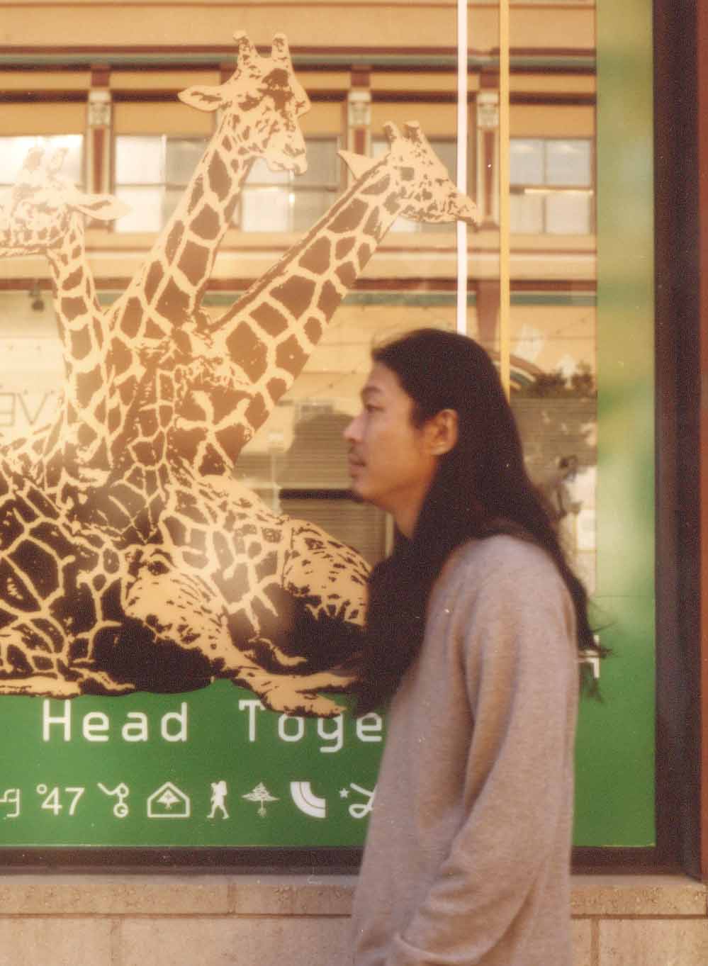 Curly Giraffe