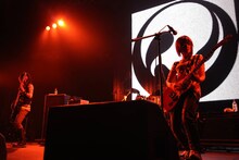 ステレオポニー