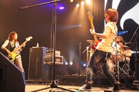 ステレオポニー