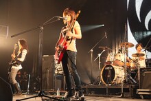 ステレオポニー