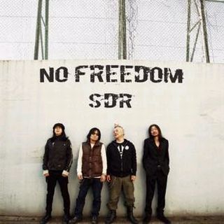 仲野茂やEBIら参加のSDR、向井秀徳が初音源を制作 - 音楽ナタリー