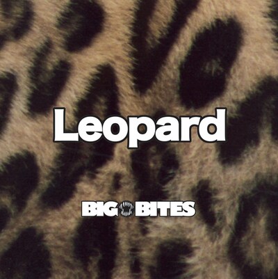 ミニアルバム「Leopard」ジャケット