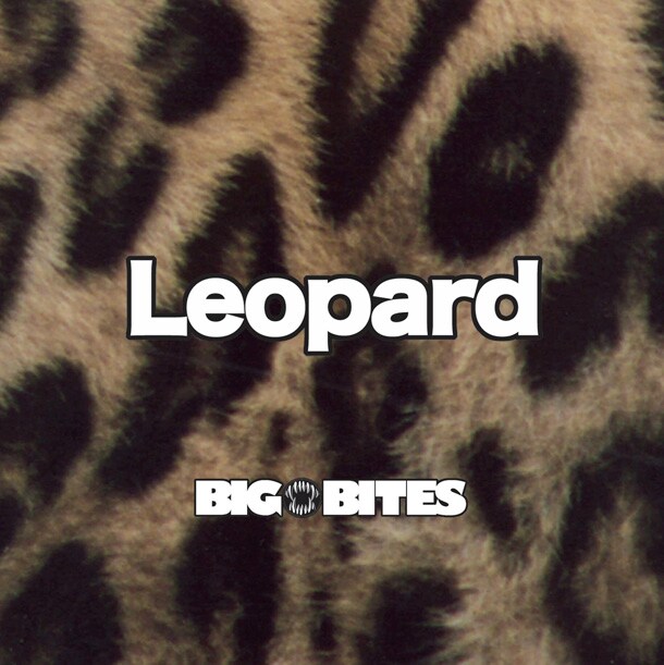 ミニアルバム「Leopard」ジャケット