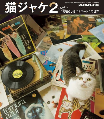 表紙には人気ブログ「まこという名の不思議顔の猫」でおなじみのまこが登場。