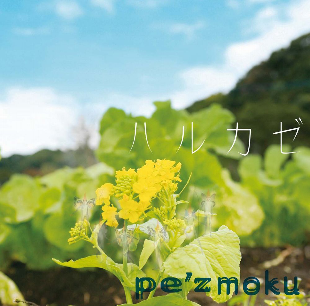 写真は2月4日にリリースされた最新シングル「ハルカゼ」。
