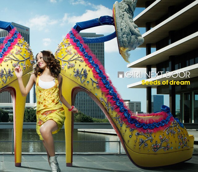 「Reasons for tears」が収録されるシングル「Seeds of dream」のDVD付き仕様ジャケット。