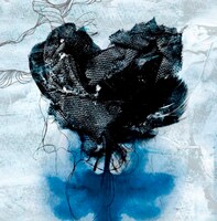 アルバム「silk tree.」初回限定盤ジャケット