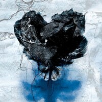 アルバム「silk tree.」通常盤ジャケット