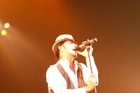 LOW IQ 01 & MASTER LOW