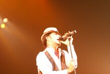 LOW IQ 01 & MASTER LOW