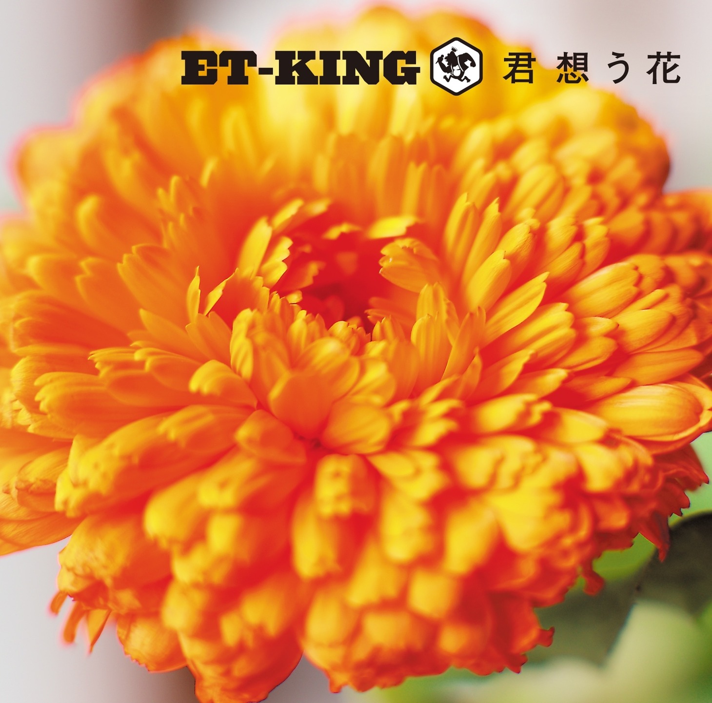 シングル「君想う花」ジャケット