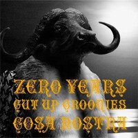 2月に発売された「ZERO YEARS～CUT UP GROOVIES～」。