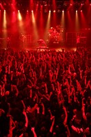 4月29日にはライブDVD「TOUR08 THE ROSE TRIMS AGAIN」もリリース。また、全国ツアー「TOUR09 FEAST OF V SENSES」も5月2～4日の新木場STUDIO COASTまで続く。