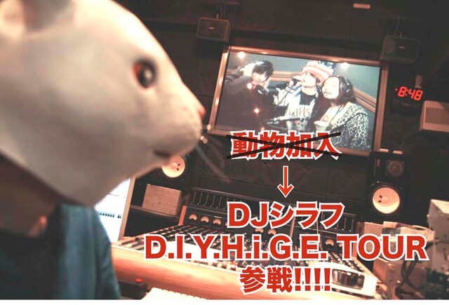5月12日から全国ツアーを開催する髭（HiGE）。ツアーにはウサギの被り物をしたDJシラフもサポートメンバーとして帯同する。なお、昨日4月1日、髭（HiGE）は新メンバーとしてウサギが加入したことを発表したが、実際にはDJシラフであることが本日明らかにされたばかり（写真下がDJシラフ）。
