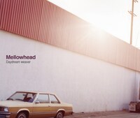 アルバム「Daydream weaver」にはゲストボーカルとして佐野元春らも参加している。