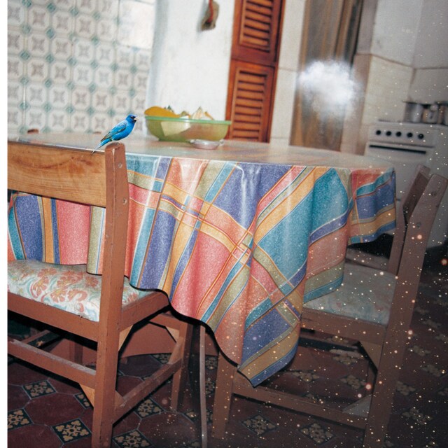 「アイコトバ」はレコチョクのテレビCMソングとしてもオンエア。先行配信された着うたは、レコチョクでデイリーチャート6位（4月8日付け）まで上昇した（写真はシングル「アイコトバ」ジャケット）。