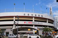 旧広島市民球場では過去に奥田民生（2004年）、さだまさし（2007年）がコンサートを行っている（写真は2008年9月6日・7日撮影の旧広島市民球場。この両日は広島×阪神戦が行われた。6日は延長戦の末阪神が競り勝ち、7日は前田健太の好投で広島が快勝した）。