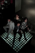 THE COLLECTORS