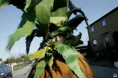 パイナップルの中にはカジヒデキ本人が。