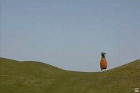 丘を駆けるパイナップル。