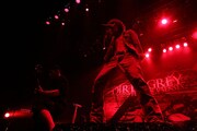 DIR EN GREY、ツアー大詰めで東京炎上3DAYSライブ