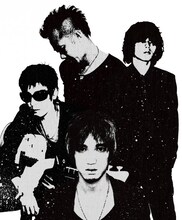 The BirthdayはTHE BACILLUS BRAINS(THE 日本脳炎)と8月7日にライブを開催する。激しいロックンロールを聴かせる2組が、夏の浜辺で灼熱の対バンを繰り広げる。