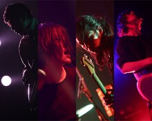 ストレイテナー