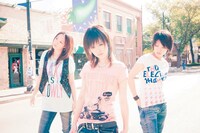 三次元のステレオポニー。二次元化されたイラストと比較してみよう。