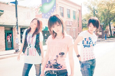 三次元のステレオポニー。二次元化されたイラストと比較してみよう。