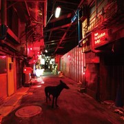 シングル「Black Market Blues e.p.」ジャケット。初回限定盤にはファン垂涎の特典が満載。