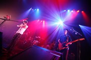 髭（HiGE）、STUDIO COASTで気迫たっぷりワンマンライブ