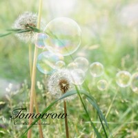 配信シングル「tomorrow」PC版ジャケット