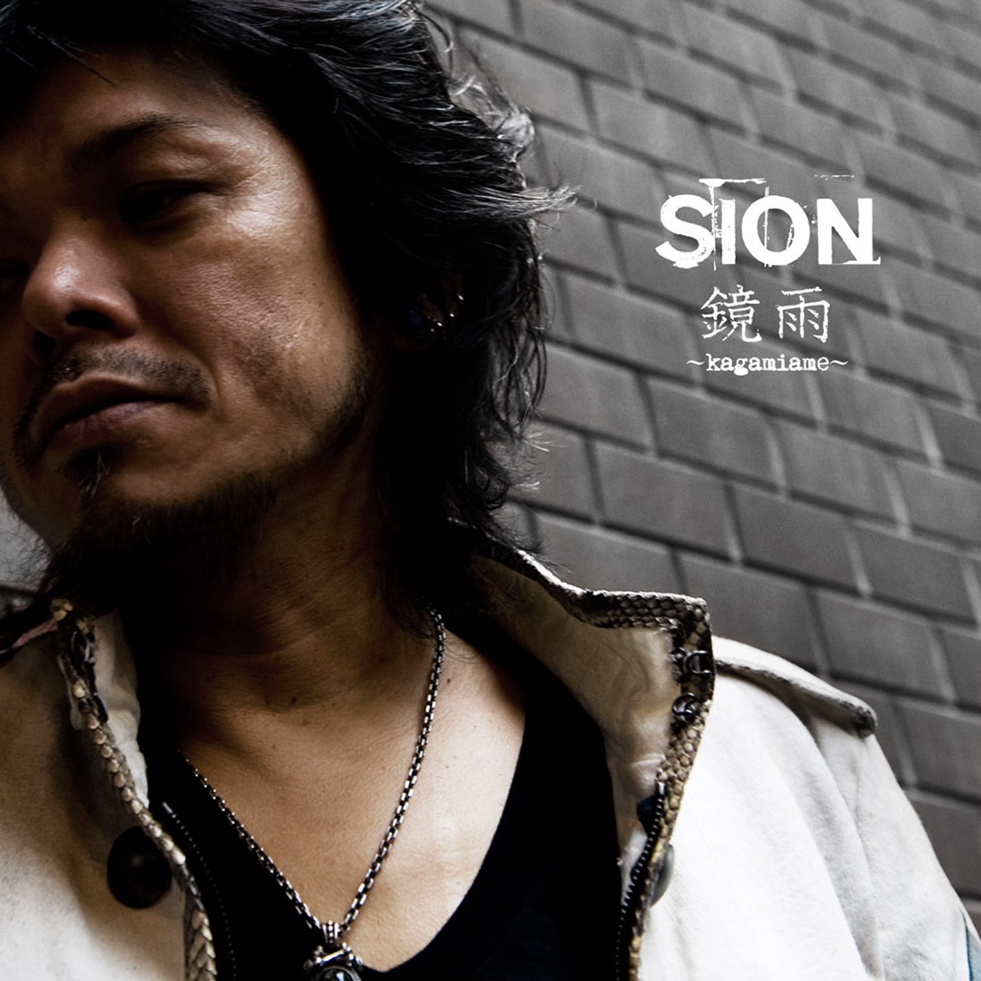 8月に北海道で行われる「RISING SUN ROCK FESTIVAL 2009 in EZO」へもSION & The Cat Scratch Comboとしての出演が決定している。