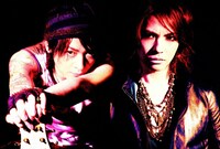 VAMPS
